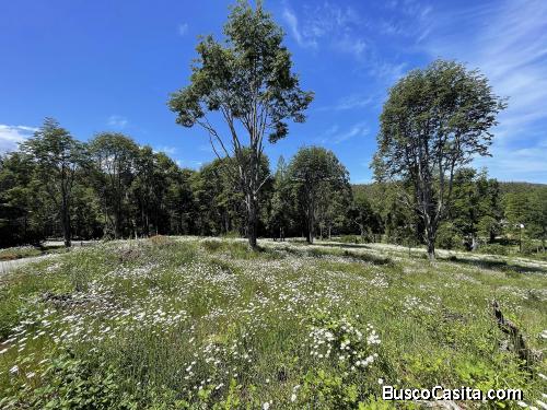 Parcela cerca ciudad La Unión $20millones