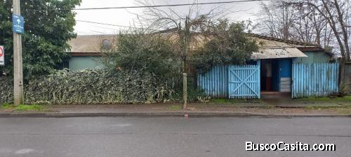 Amplian propiedad con casa, bodega y negocio en San Carlos, Ñuble