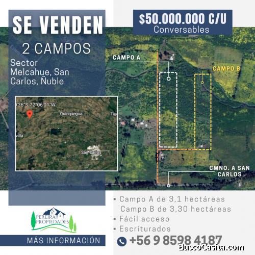 2 campos de 3,1 y 3,30 hectáreas en San Carlos, Ñuble