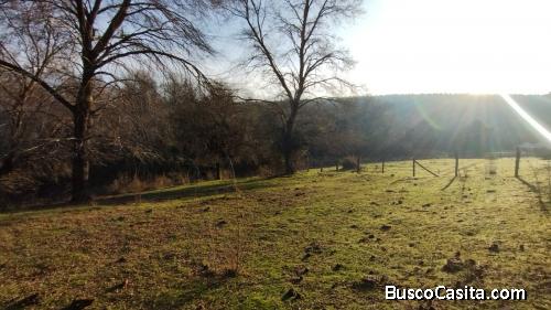 Parcela a los pies de la precordillera de Ñuble