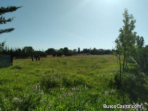 Parcela en venta a 5 minutos de San Carlos Ñuble