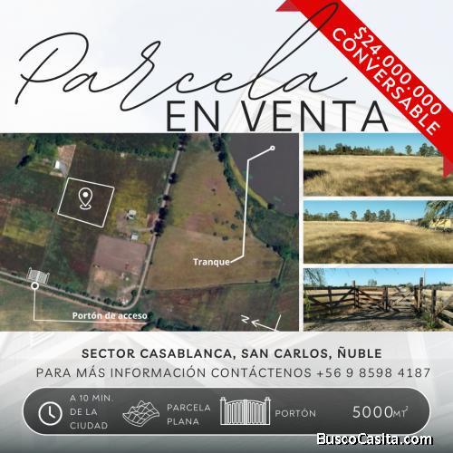 Parcela a menos de 15 minutos de San Carlos, Ñuble