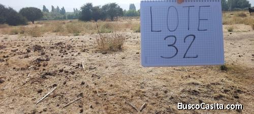 Aculeo-Paine, Lote 32 