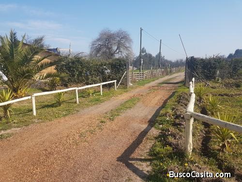 Viluco-Buin, parcela con casa.