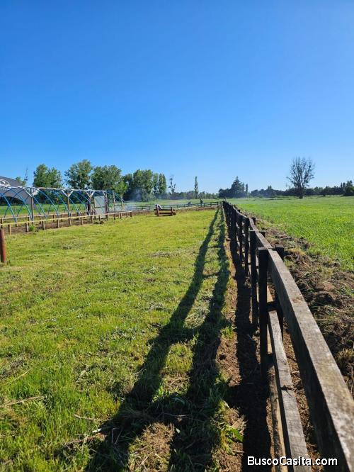 Ultimas parcelas en san gregorio ñiquen chillan 