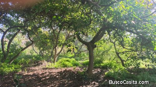 EN VENTA parcela ubicada en Manuel Córdova, Huerto Obrero, La Calera