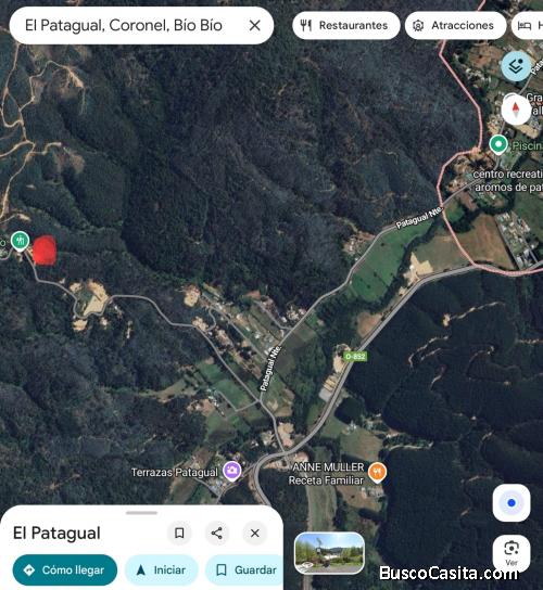 Parcela 5.500m² con Electricidad - Sector Quetra - Patagual (ConcepciónCoronel)