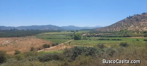 Las Cabras, sector Valdebenito, Sexta Región - Campo de 51,7 hectáreas.
