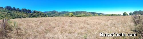 SE VENDE EXCELENTE VEGA UBICADA EN SECTOR TALCAMAVIDA, COBQUECURA.