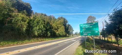 Región de Los Ríos, Lanco, Purulón Ruta 203 de Lanco a Panguipulli.