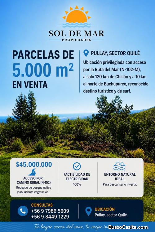 VENTA DE PARCELAS 5000 M2 EN QUILE, COBQUECURA, ÑUBLE