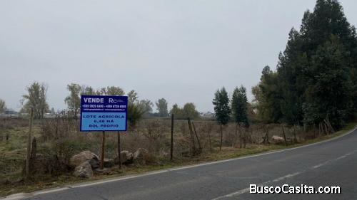 Paine-Colonia Kennedy, Terreno agrícola de 6,48 hás.