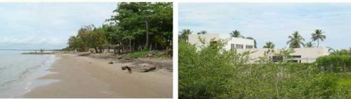 VENTA DE LOTE EN TOLU, EN LAS HERMOSAS PLAYAS DEL FRANCES
