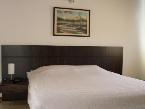 CODIGO 39 APARTAMENTO AMOBLADO DUPLEXX POBLADO PATIO BONITO
