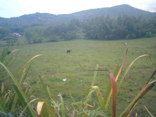 Vendo Lotes en Pavas, 5 min de La Cumbre, 45 min de Cali