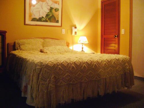 hotel san antonio plaza en cali