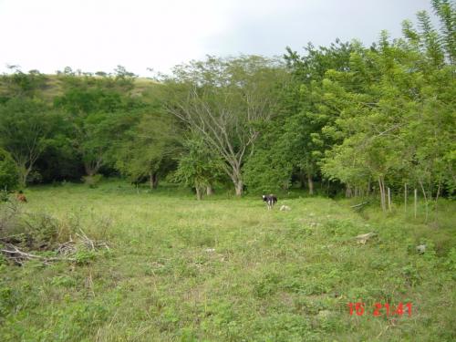 lote santa fe de antioquia