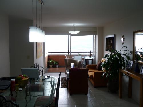 HALCONES DE SAN DIEGO