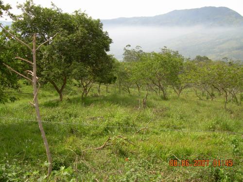 LOTE IDEAL PARA PARCELACIONES O FINCAS DE RECREO