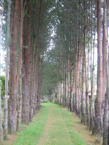 VENDO FINCA