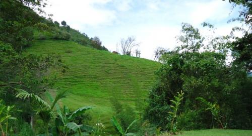 Finca en la Vega Cundinamarca en Venta