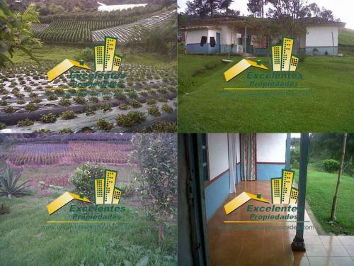 Excelente casa finca en san Vicente (to-svch569)