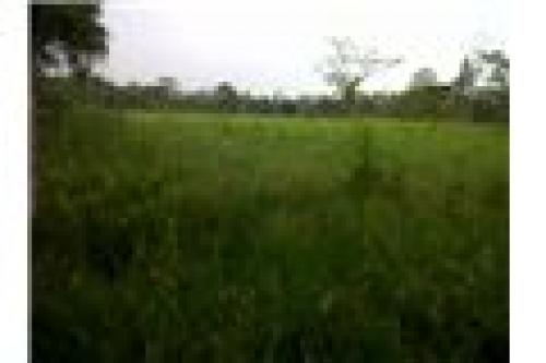 VILLA PACILIA VEREDA CAIRO ALTO RESTREPO META