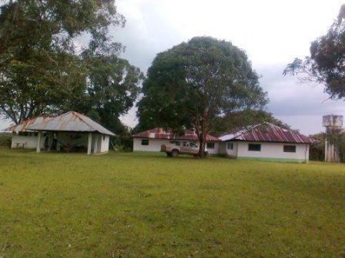 FINCA LOS JAPONESES 700 HECTAREAS