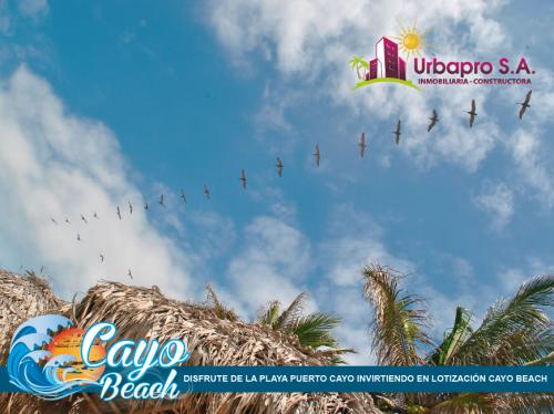 CAYO BEACH TERRENOS FRENTE AL MAR A TAN SOLO 4400 DOLARES COMPRALO AHORA, EN PUERTO CAYO