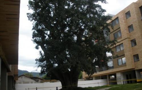 apto stilo loft espectacular ubicacion super chia