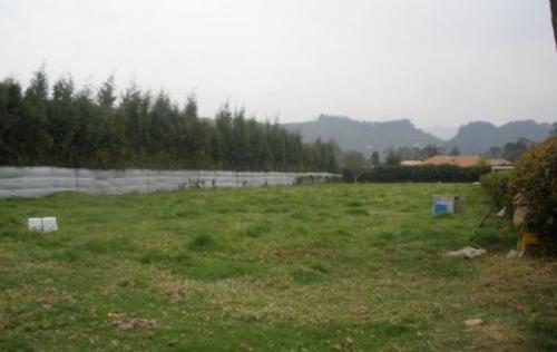 lote 3000mts. sector bojaca conjunto cerrado,