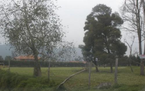 ote 12000 mts.esquinero 2 frentes fagua sector buyara espectacular
