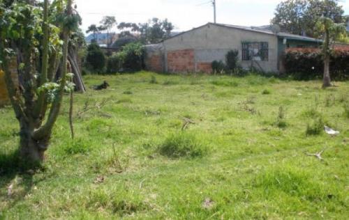 lote chia 430 metros vereda la balsa sector el pino