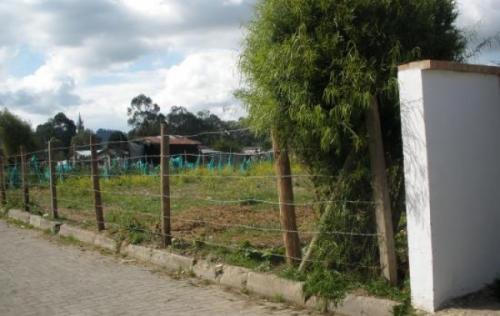 lote chia 440 mts. tiquiza