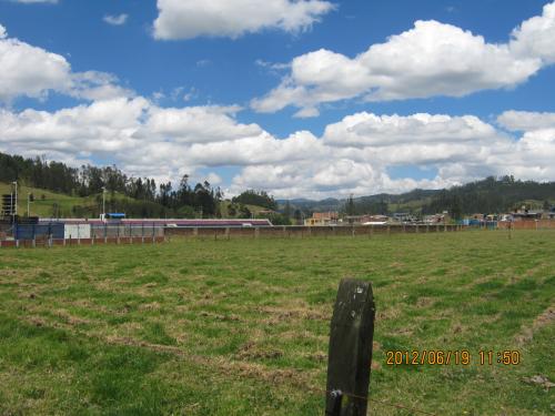 EXCELENTE LOTE
