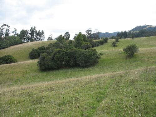 Venta Finca Tabio (Rio-Frío Occidental) 