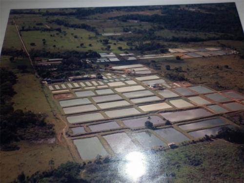 Vendo Fincas Piscicolas