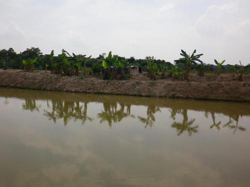 VENDO EXCELENTE FINCA PISCICOLA EN VILLANUEVA