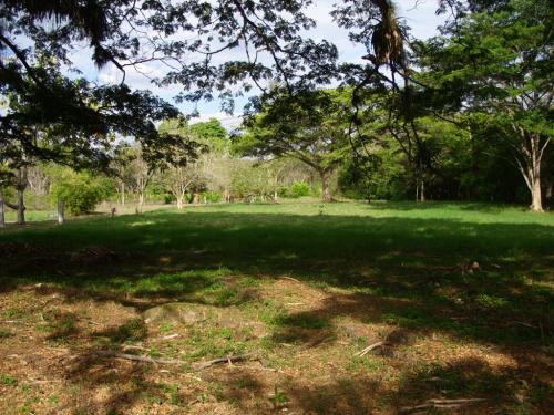 VENTA DE LOTE CON PROYECCIÓN FUTURA EN EL VALLE DE LILÍ