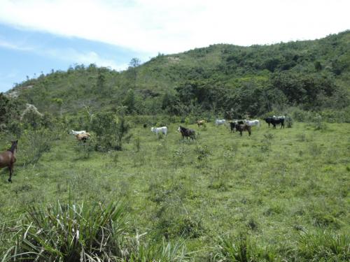 Vendo Finca con gran expansion de tierra