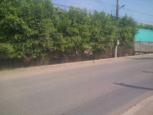 VENDO MAGNIFICO LOTE EN JUANCHITO