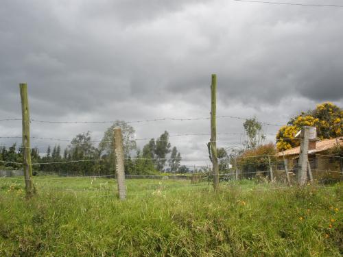 LOTE 5400METROS CUADRADOS  VEREDA FAGUA SECTOR GUANATA 