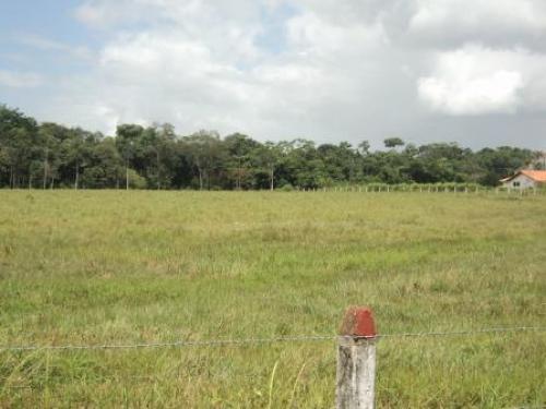 LOTES CONDOMINIO CAMPESTRE LA CASONA