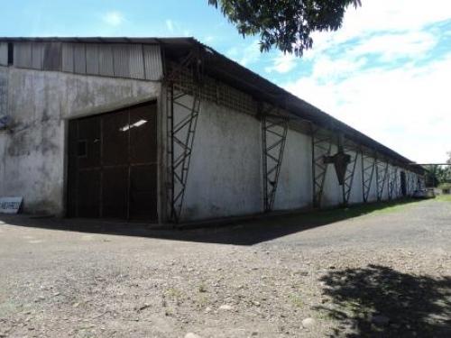 BODEGA MOLINO PACHAQUIARO