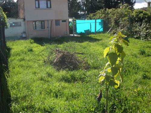 LOTE 15 * 15 = 225Mts CHIA-VEREDA TIQUIZA CON SERVICIOS 2 FRENTE