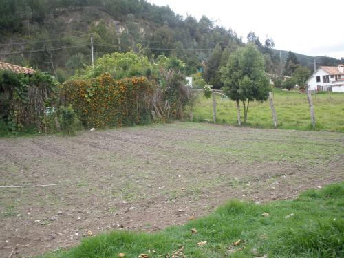 LOTE CHIA VEREDA FONQUETA  320 Mt 2 GANGAZO