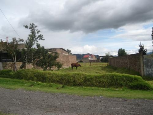 VENDO HERMOSO LOTE EXCELENTE OPORTUNIDAD