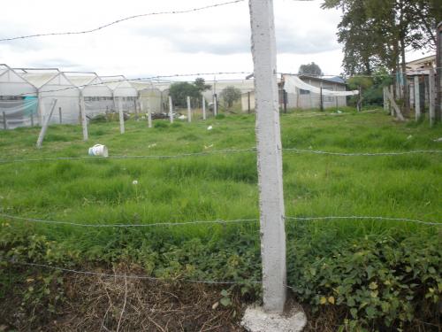 LOTE 354 Mts. VEREDA FONQUETA CHIA