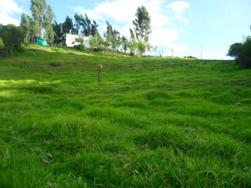 VENDO EXCELENTE TERRENO UBICADO EN PAIPA  BOYACA