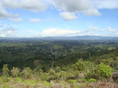 LOTE 0001 EN GUARNE VEREDA CANOAS/LA HONDITA
